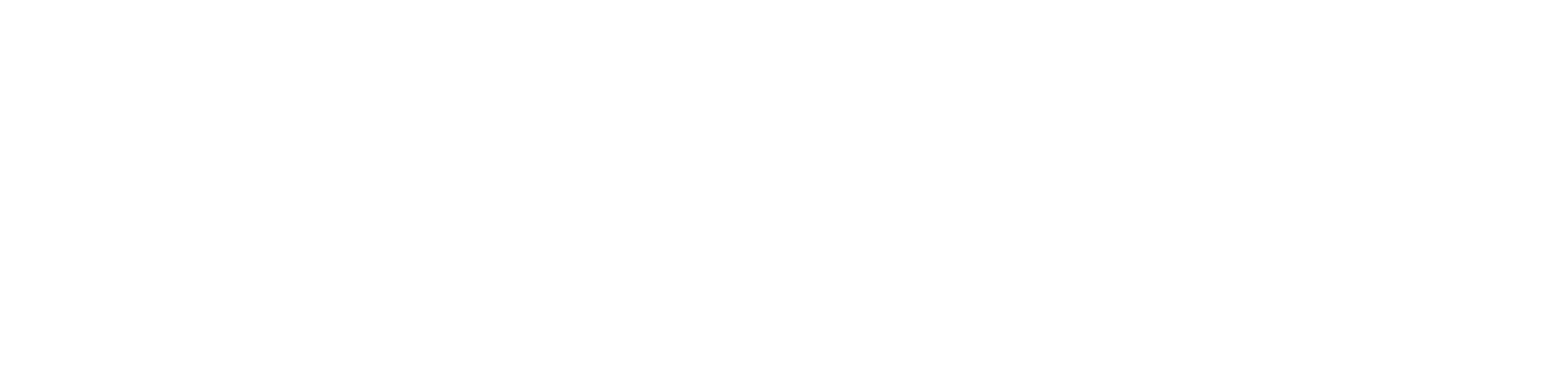 BidMax